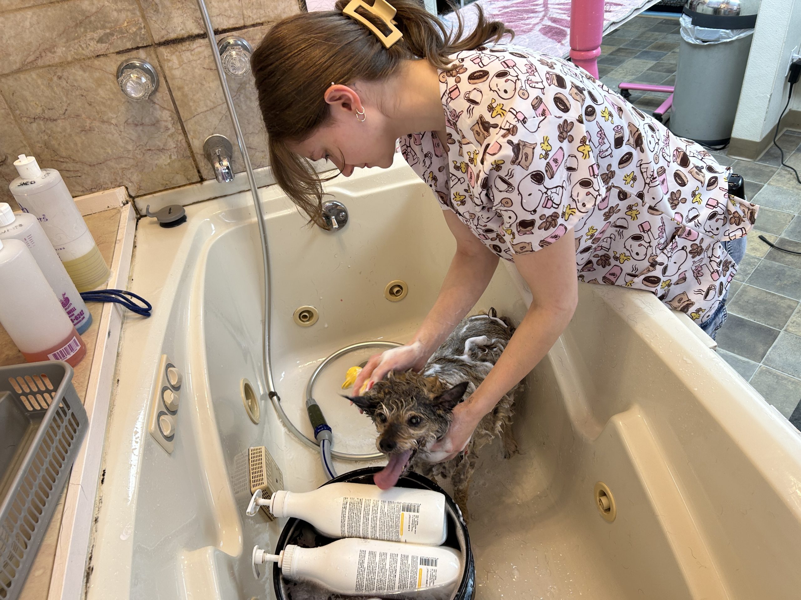 Owner scrubbing dog in luxury bath tub